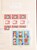 Lot 2035 (41)