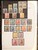 Lot 2065 (14)