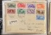 Lot 43 (10)