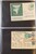 Lot 21 (31)