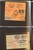 Lot 21 (65)
