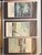 Lot 24 (50)