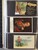 Lot 24 (73)