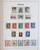 Lot 3517 (37)