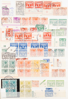 Lot 3556