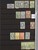 Lot 3815 (34)
