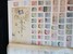 Lot 3871 (2)