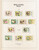 Lot 2354 (19)