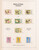 Lot 2354 (34)