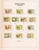 Lot 2354 (95)
