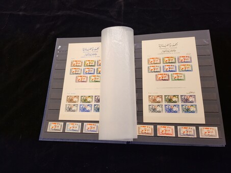 Kavel 2449