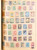 Lot 2010 (5)