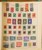 Lot 2010 (65)