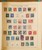 Lot 2010 (69)