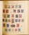 Lot 2010 (259)