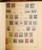 Lot 2010 (516)