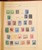Lot 2010 (602)
