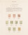 Kavel 3811 (5)