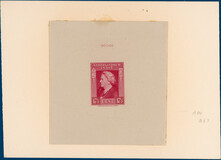 Lot 3411
