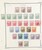 Lot 2323 (45)