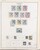 Lot 2323 (51)