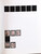 Lot 2283 (43)