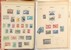 Lot 2486 (10)