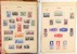 Lot 2486 (12)