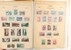 Lot 2486 (21)