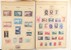 Lot 2486 (22)