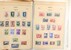 Lot 2486 (23)