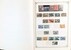 Lot 2486 (27)