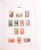 Kavel 2192 (53)