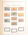Kavel 2189 (157)