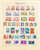 Kavel 2312 (27)