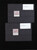 Lot 2131 (48)