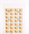 Kavel 3149 (49)