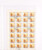 Kavel 3149 (53)