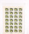 Kavel 3149 (172)