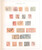 Kavel 3177 (7)