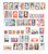 Kavel 3181 (49)