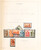 Kavel 3231 (31)