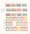 Kavel 3299 (7)
