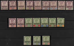 Lot 3309