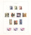 Kavel 3311 (30)