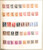 Kavel 3338 (35)