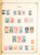 Kavel 3006 (317)