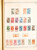 Kavel 3006 (554)
