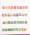 Kavel 3017 (159)