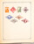 Kavel 3016 (267)